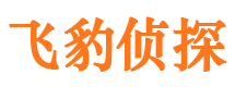 合江市调查公司